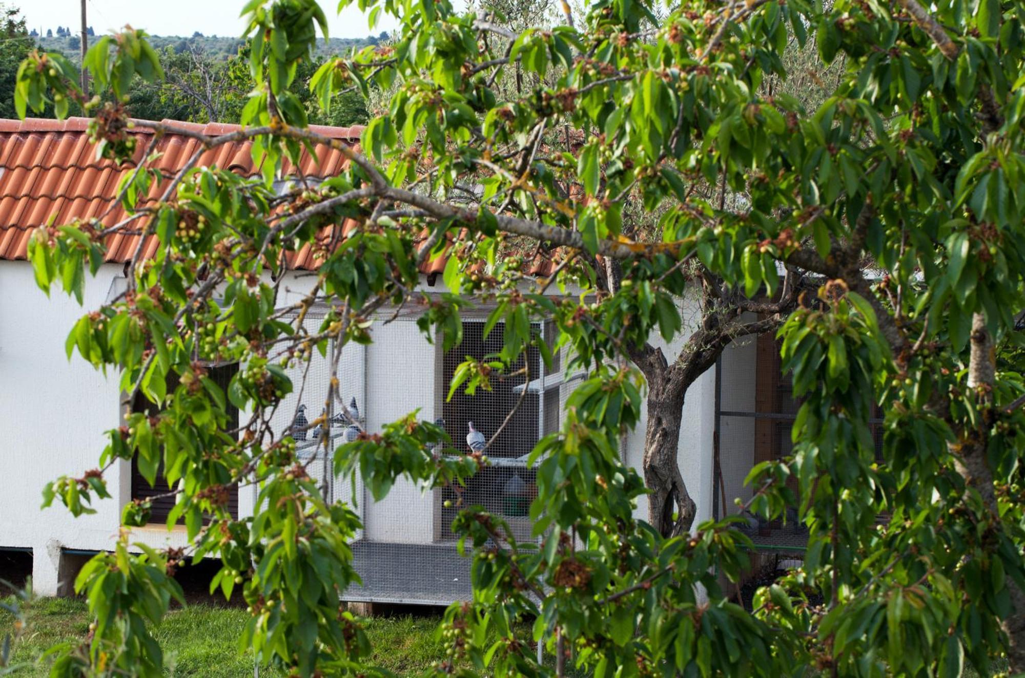 B&B Moderno Fažana Chambre photo